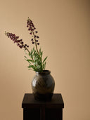 Franca pot